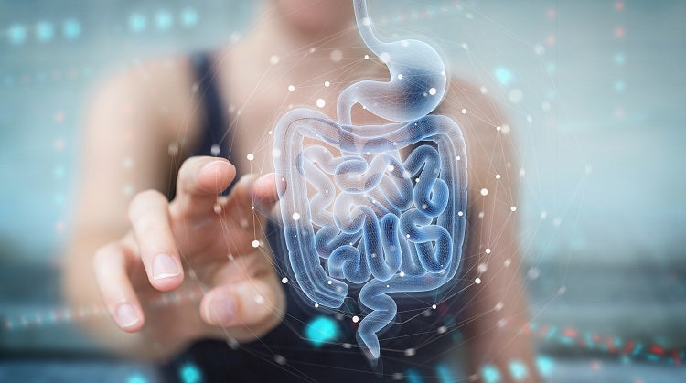 Your Probiotics Questions - Answered